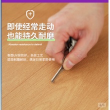 地毯客厅卧室加厚大面积家用全铺防水防滑pvc女 地毯客厅卧室加厚大面积家用全铺防水防滑pvc女  ins风加厚地垫 INS风加厚地垫